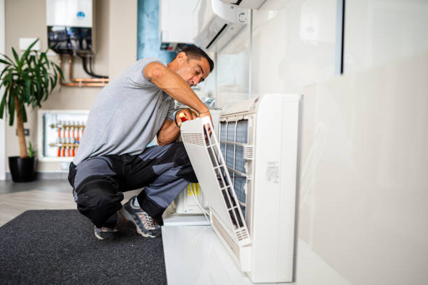 Best Air Duct Mold Removal  in Ambler, PA