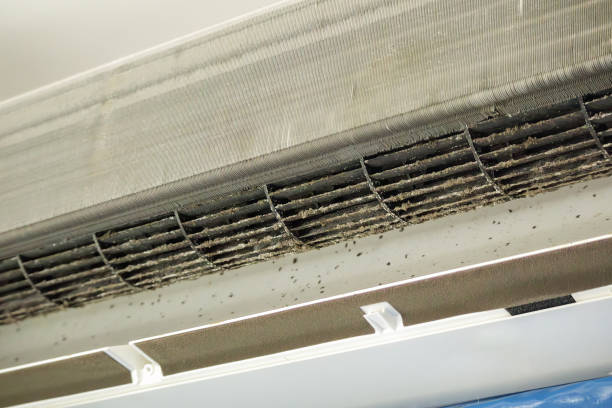 Best Best Air Duct Cleaning Company  in Ambler, PA