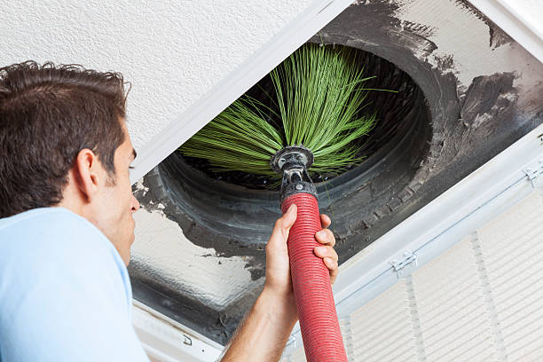 Air Duct Mold Removal in Ambler, PA
